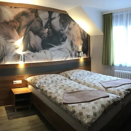 U Koně Hotel Beroun (Central Bohemian)