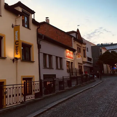 U Koně Hotel 3*