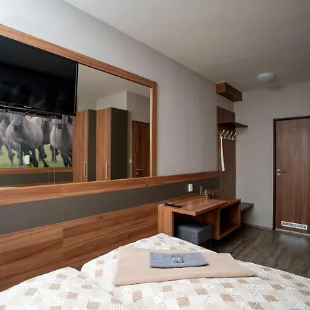 U Koně Hotel 3*