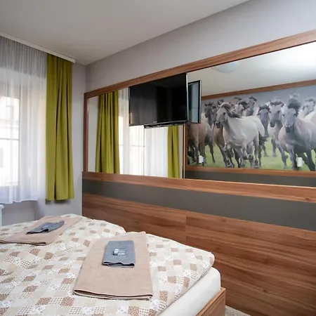 Hotel U Koně 3*
