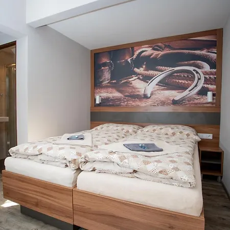 Hotel U Koně 3*