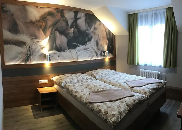 U Kone 酒店 贝龙